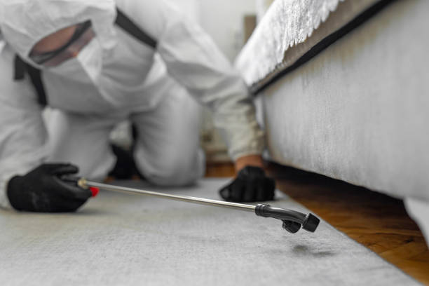 Professional Bed Bug Control technician working in Lovington, IL