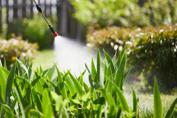 24/7 Emergency Bed Bug Control experts in Lovington, IL