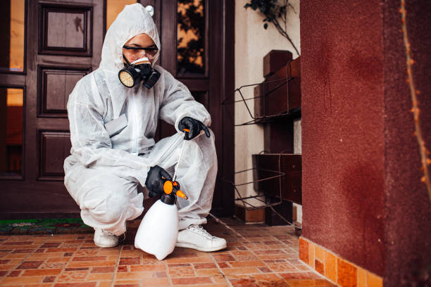 Reliable Bed Bug Control contractor in Lovington, IL by Nex Pest Control